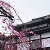 - Hoàng Hiệp -
